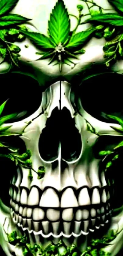 Skull with cannabis leaves overlay art.