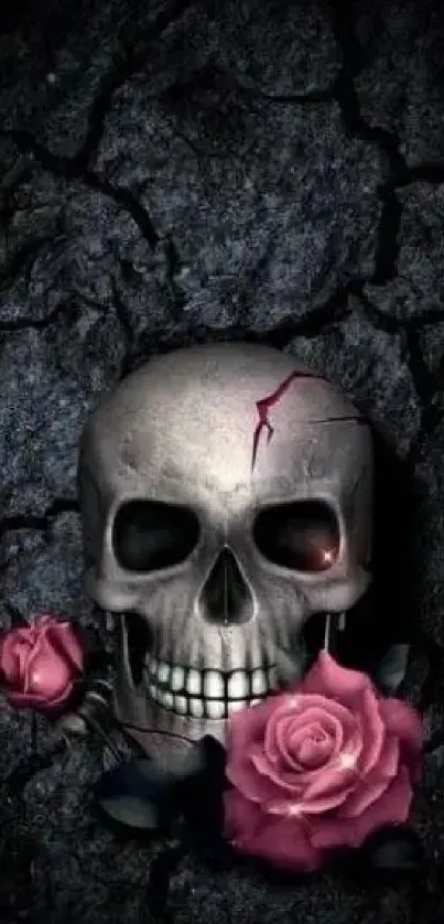 A skull with pink roses on a dark cracked background.