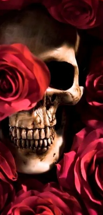 Mobile wallpaper featuring a skull surrounded by red roses.