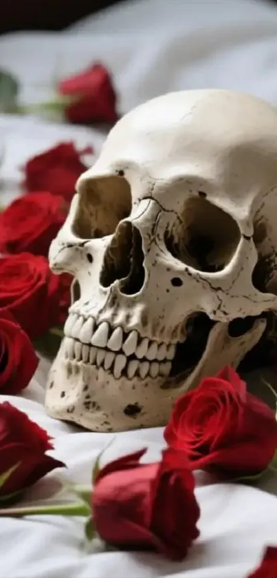 A skull surrounded by vibrant red roses on a white surface.