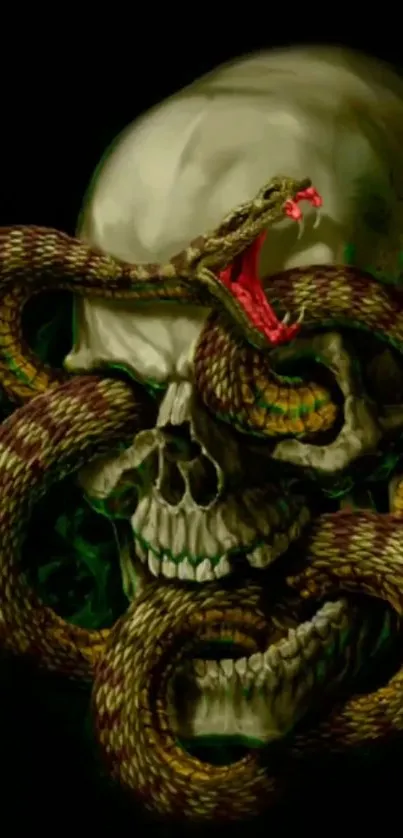 Skull entwined with a colorful snake in dark wallpaper.