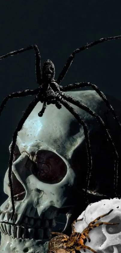 Dark wallpaper with a spider on a skull.