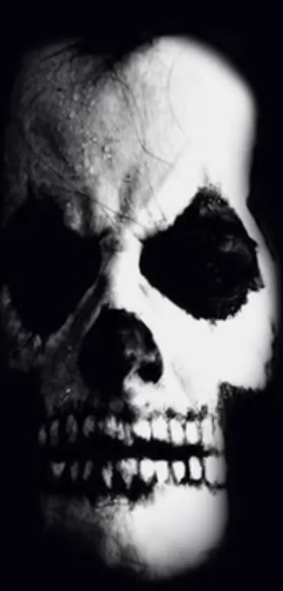 Dark skull art wallpaper for mobile.