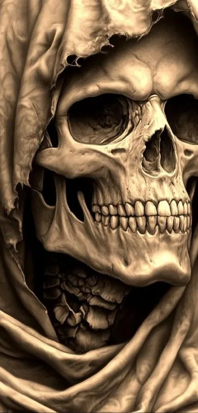 Detailed skull wrapped in a tattered cloak.