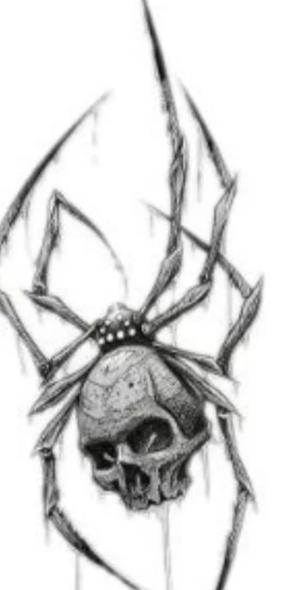 Black and white skull spider illustration wallpaper.