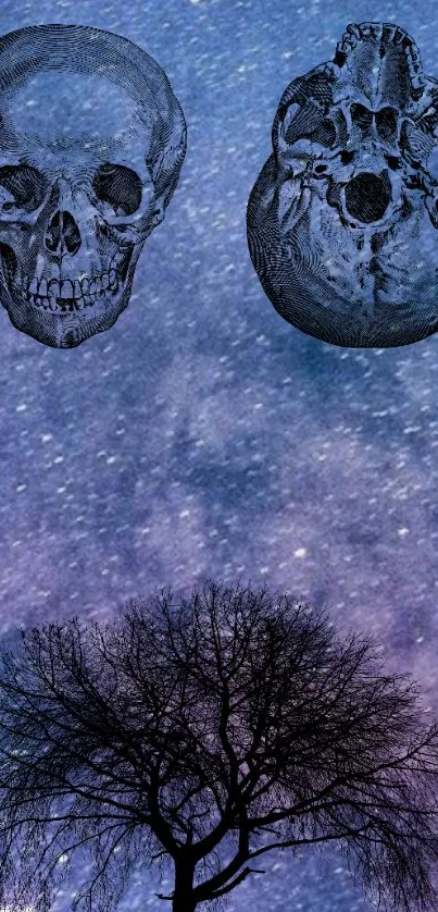 Artistic skulls against a starry night sky with a tree silhouette.