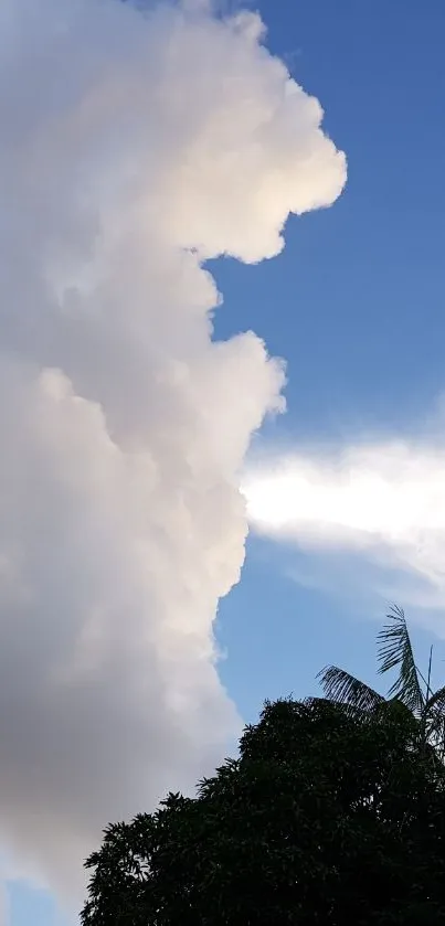 Fluffy clouds against a blue sky with lush green foliage.