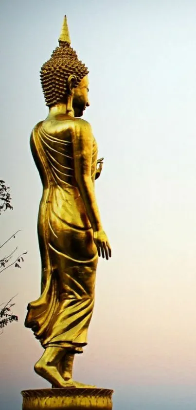 Sky Art Statue Live Wallpaper