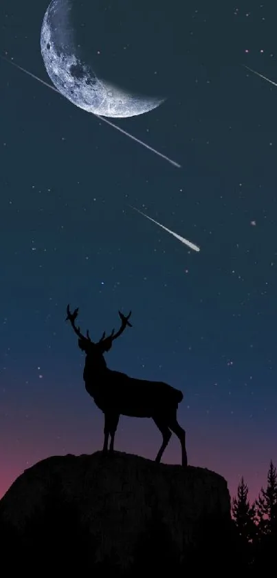 Sky Atmosphere Plant Live Wallpaper