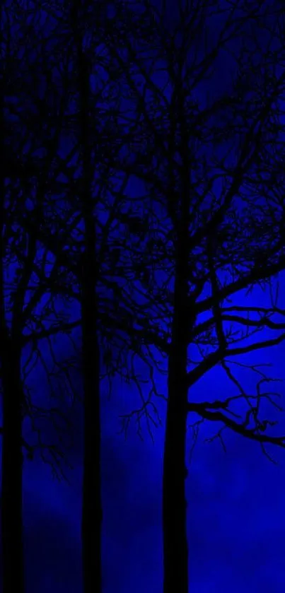 Sky Azure Twig Live Wallpaper