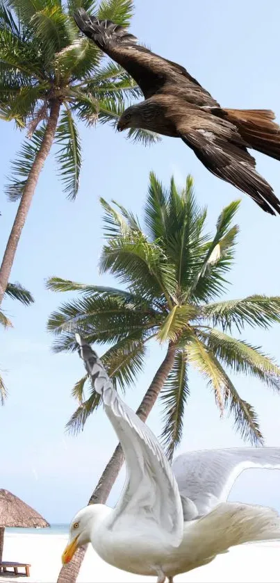 ocean Live Wallpaper