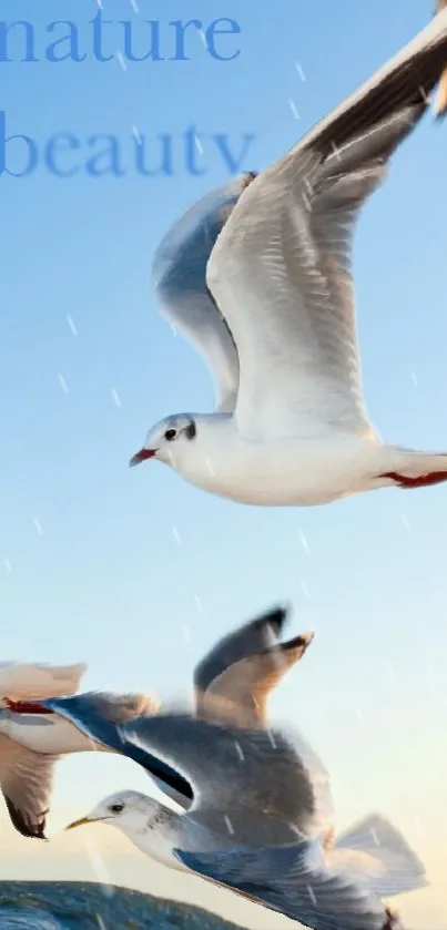 nature beauty  Live Wallpaper