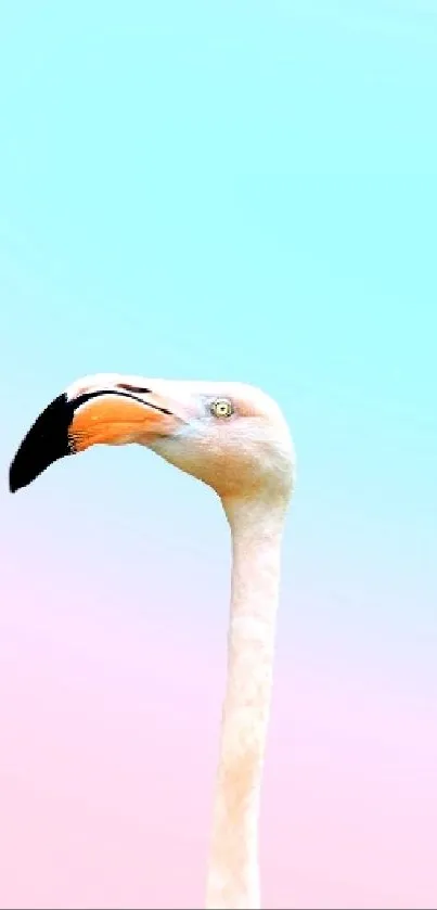 Sky Bird Plant Live Wallpaper