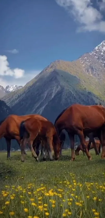 Horses grazing in a scenic alpine meadow with mountain backdrop.