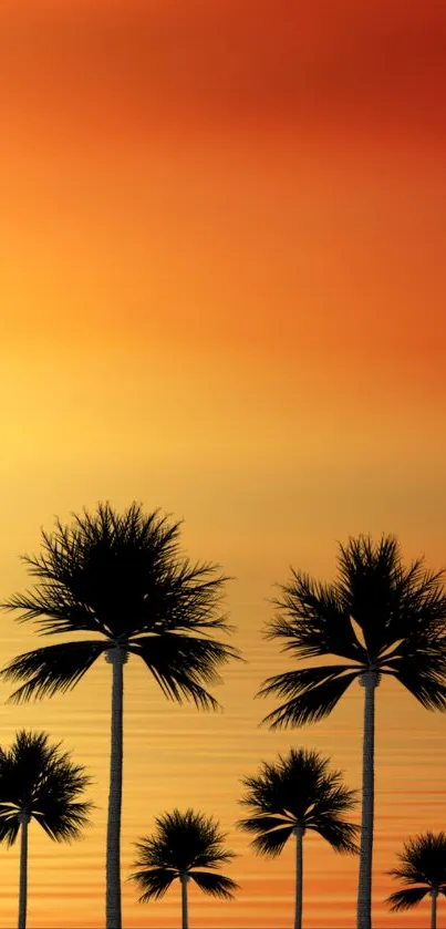 sunset palms Live Wallpaper