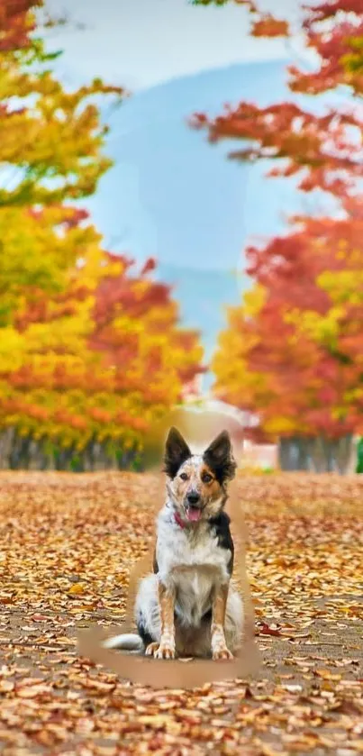 Sky Dog Leaf Live Wallpaper