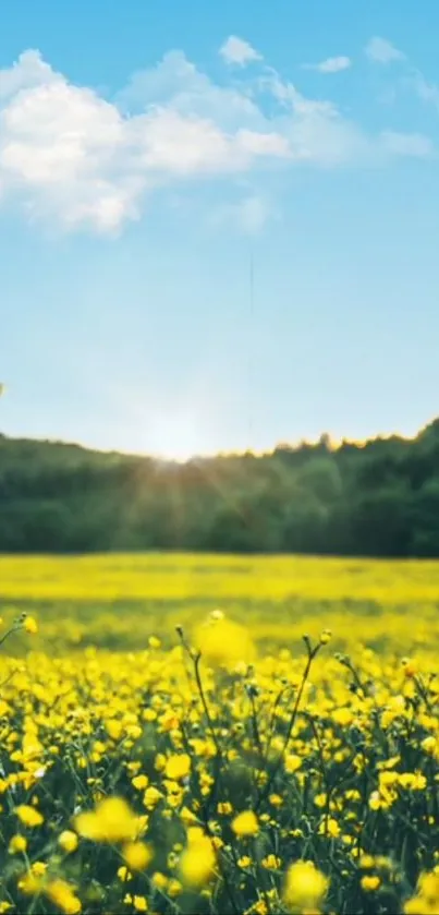 Sky Flower Cloud Live Wallpaper