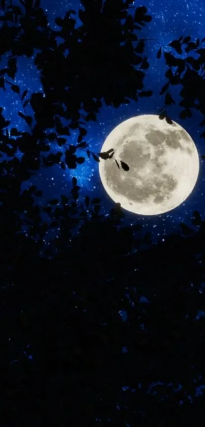 Sky Moon Plant Live Wallpaper