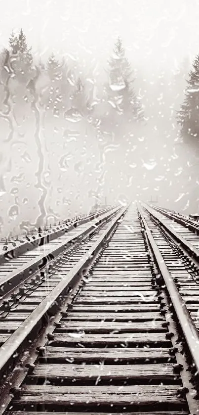 black and white  Live Wallpaper