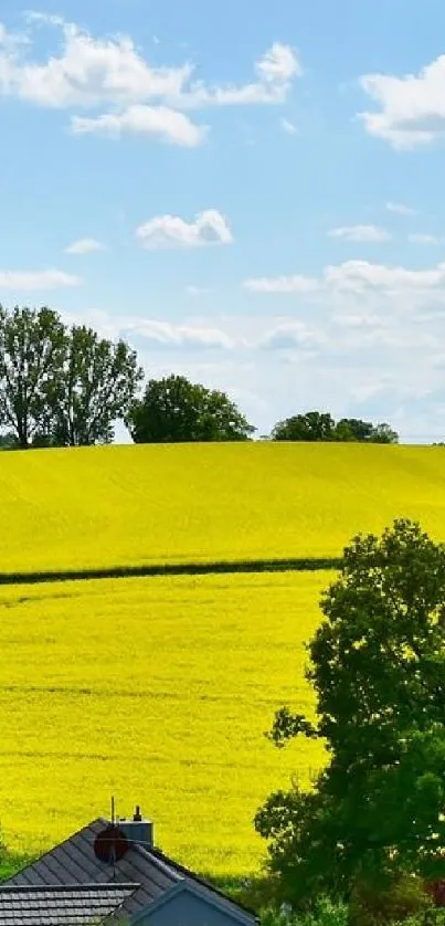 A vibrant summer landscape with yellow fields and a blue sky.