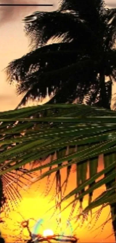 Sky Plant Light Live Wallpaper