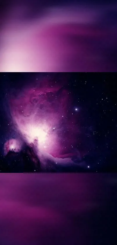 Sky Purple Violet Live Wallpaper