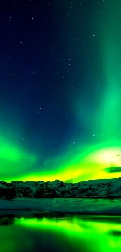 our nature  Live Wallpaper