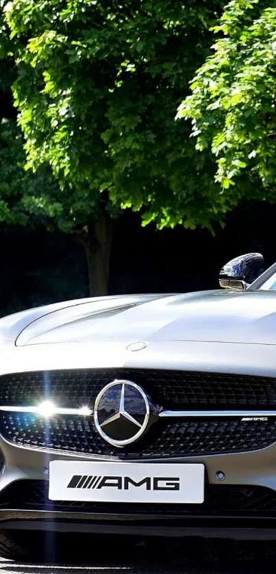 Luxurious AMG car framed by green trees in sunlight.