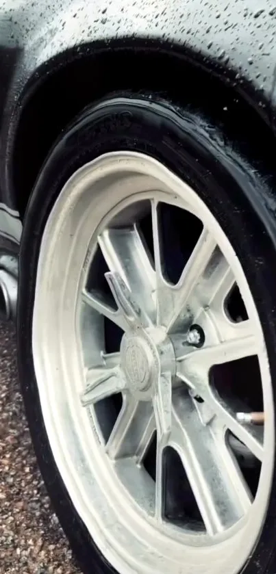 Close-up of a sleek car wheel on a wet surface.