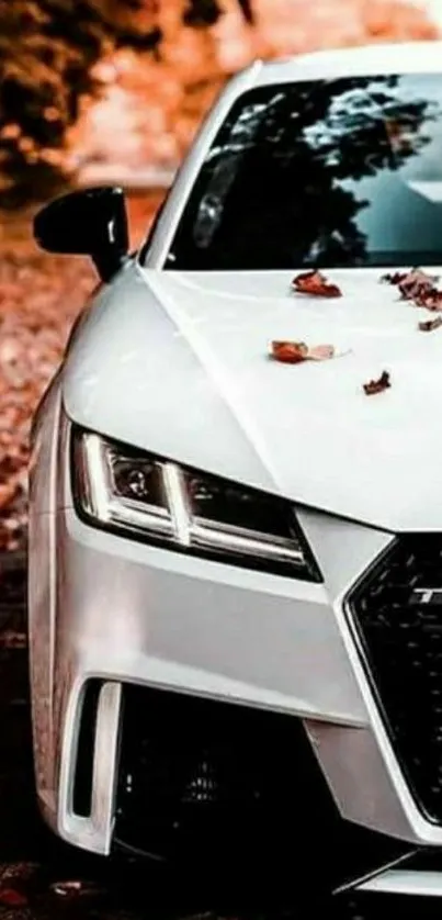 White luxury car on autumn leaf road.