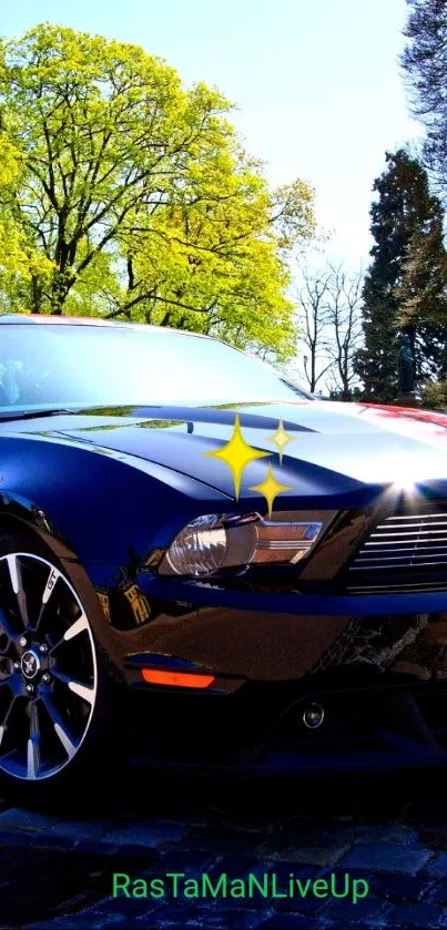 Black and red Mustang with shining grill, leafy background.