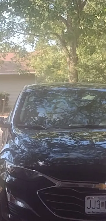 Sleek black Chevrolet parked in a shaded driveway under green trees.