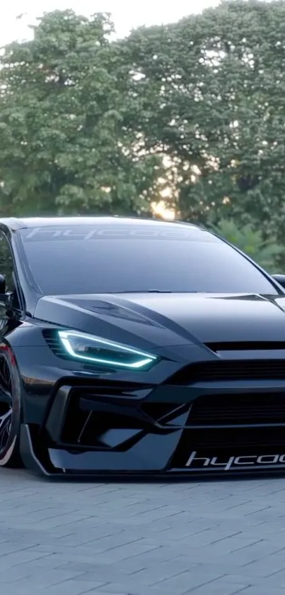 Sleek black car parked in front of lush greenery.