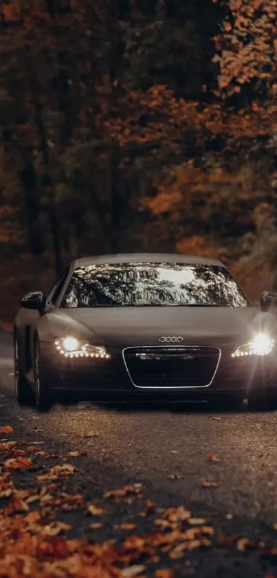 Black car on autumn road with fall foliage and headlights on.