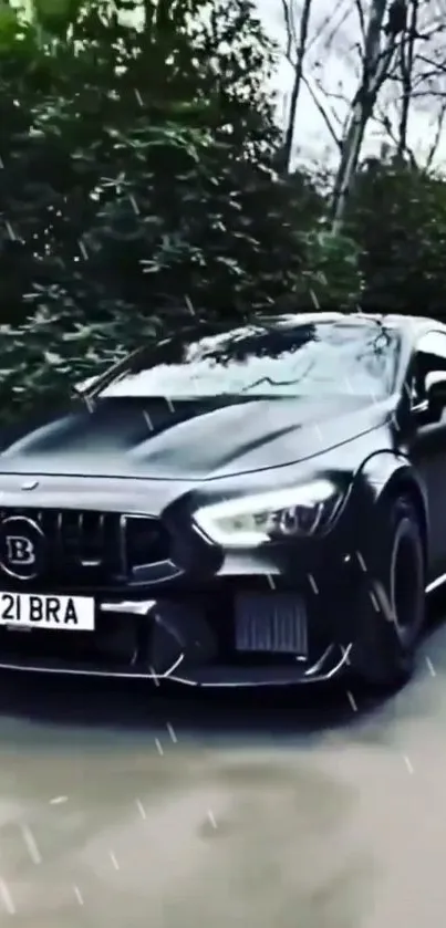 Sleek black car driving through a forest setting.