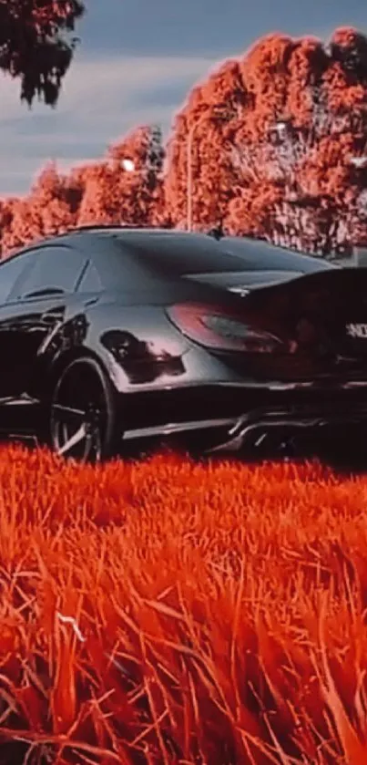 Sleek black car in a vibrant orange field.