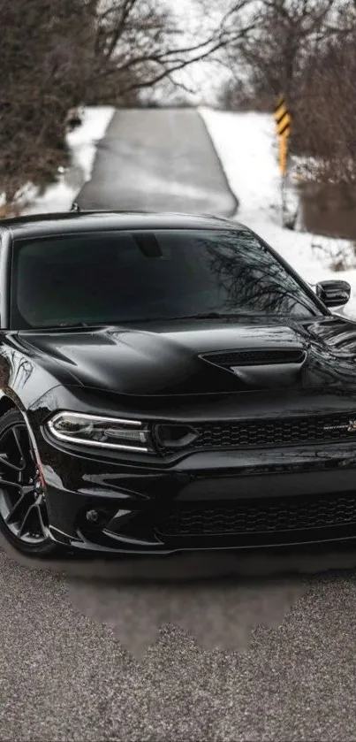 Sleek black car on a winter road with bare trees.