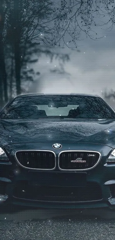 Sleek black car in a misty forest setting at night.