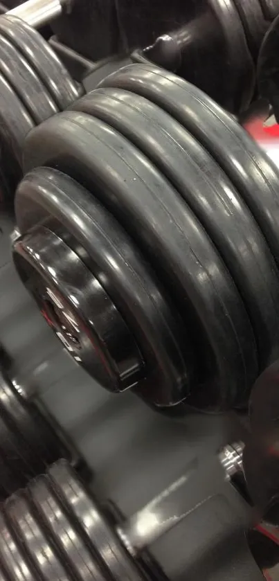 Sleek black dumbbells arranged in a row, emphasizing fitness and strength.