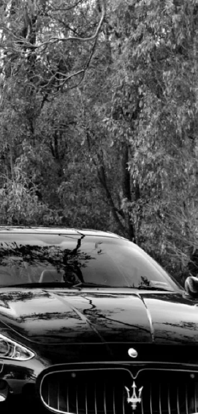 Sleek black luxury car with nature backdrop.