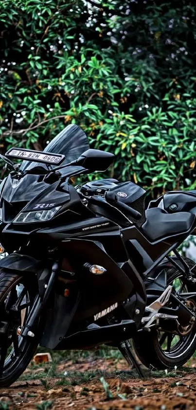 Sleek black motorcycle with a lush green background.