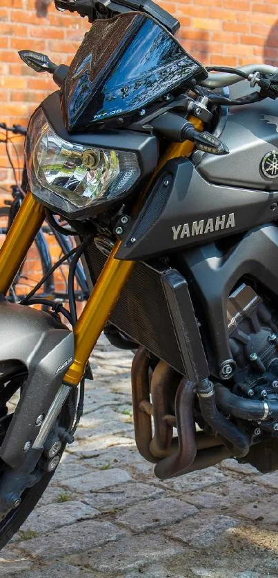 Sleek black motorcycle parked on urban pavement with bikes in the background.