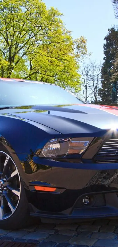 Sleek black Mustang with red stripes parked in a scenic park setting.