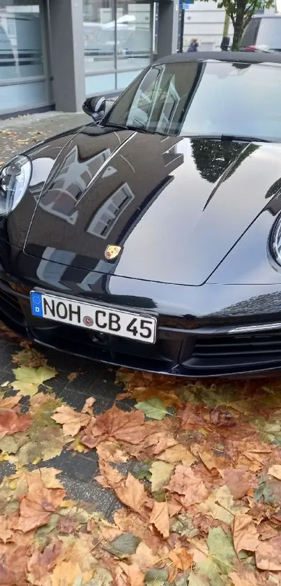 Sleek black sports car on an autumn leaf-covered street.