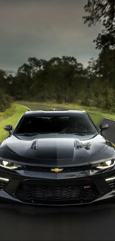 Sleek black car driving down a winding open road.
