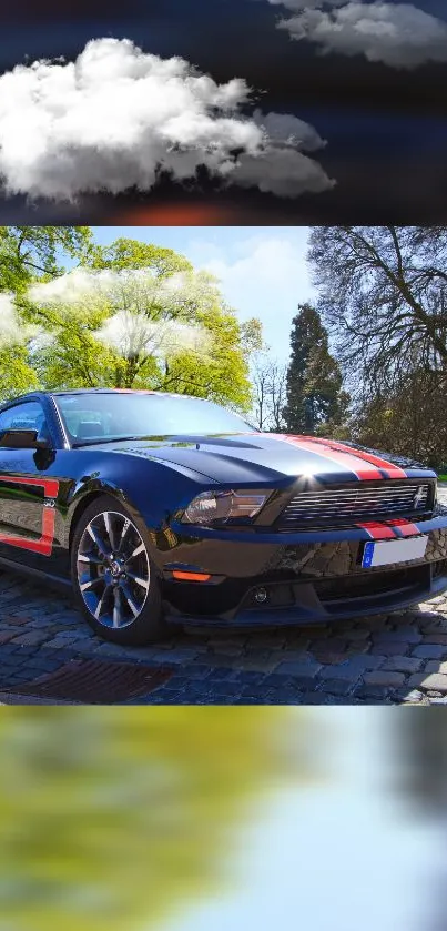 Black sports car with red accents in a park setting under clouds.