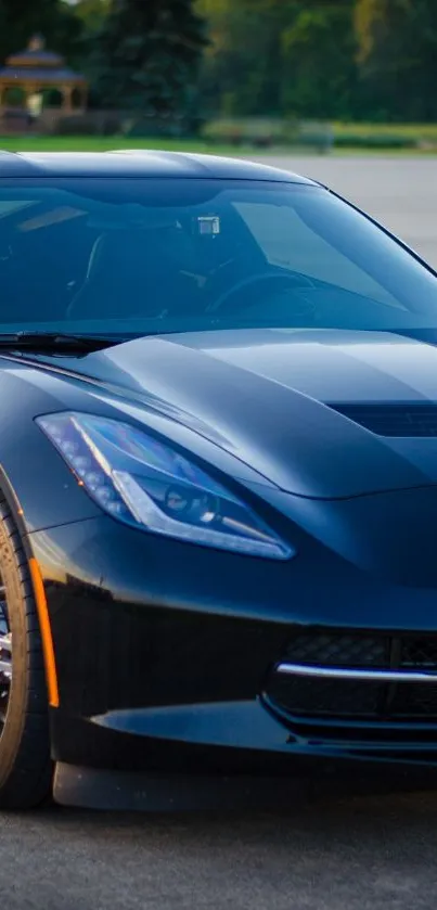 Sleek black sports car against a scenic outdoor background.