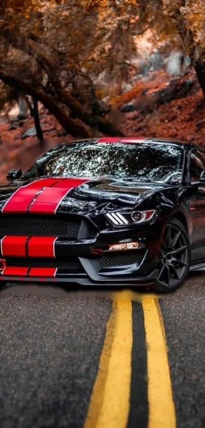 Sleek black car with red stripes on forest road.