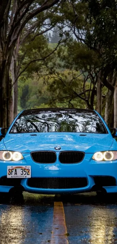 Sleek blue car driving through lush green forest.