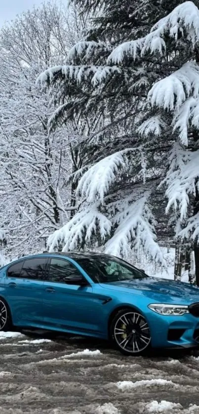 Blue car parked in a snowy forest landscape.